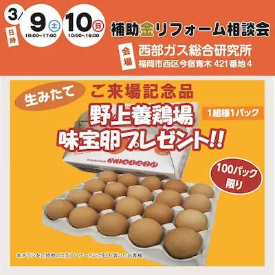 たまごプレゼント (1)